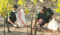 Kegiatan pembersihan sisa plastik pada akar bakau. (Foto: istimewa)