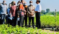 Peresmian Persemaian Rumpin, Peluncuran Rehabilitasi Mangrove, dan World Mangrove Center di Persemaian Rumpin, Kabupaten Bogor, Provinsi Jawa Barat, Jumat (10/06). (Foto: istimewa)