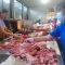 Petugas Distan Kota Denpasar memeriksa kesehatan daging babi menjelang Hari Raya Galungan, Senin (31/07/2023). Foto: agus/diksimerdeka.com