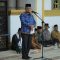 Pemerintah Kabupaten Asahan menggelar peringatan Maulid Nabi Muhammad SAW 1445 H di Masjid Agung H. Achmad Bakrie Kisaran, Senin (03/10/2023)