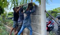 Sejumlah pekerja tengah mengerjakan pemasangan pagar di lahan milik Nyoman Liang di Jalan Badak Agung, Sumerta Kelod, Denpasar, Rabu (17/1/24). Foto: Nyoman/diksimerdeka.com