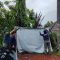 Penertiban spanduk dan baliho oleh Satpol PP Kota Denpasar, Senin (16/12/2024). Foto: dok/Pemkot Denpasar
