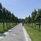 Joging Track Renon. Foto: dok/pribadi