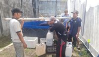 Lembaga Pemasyarakatan (Lapas) Kelas IIA Keroboka memanen sebanyak 89 kilogram ikan lele. Foto: dok/Lapas Kerobokan