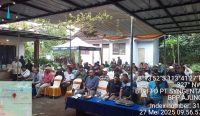 BPP Ajung dan PT Syngenta Gelar Big Farmer Field Day Demplot Jagung