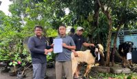 Jun Firmansyah selaku Assistant Manager PLTG Gilimanuk menyerahkan bantuan hewan qurban untuk Musholla Baiturrohman dan Musholla Al Ihsan Gilimanuk