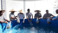 Lapas Kerobokan melakukan kegiatan penebaran ribuan bibit ikan nila. Foto: dok/Lapas Kerobokan