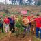 Sosialisasi dan Bimbingan Teknis Program Rehabilitasi Hutan dan Lahan (RHL), Senin (30/062025). Foto: dok/pribadi