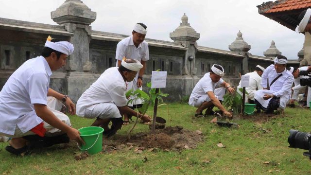 Gubernur Bali Wayan Koster saat menanam pohon dalam rangka melestarikan alam dalam rangka merayakan Tumpek Uye, di Pura Sakenan, Pulau Serangan, Denpasar, Sabtu (12/7/2025). Foto: dok/Pemprov Bali