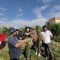 Dinas Pertanian Kota Denpasar lakukan panen bawang merah di Subak Buaji, Munduk Paksala, Kamus (07/08/2025). Foto: dok/Pemkot Denpasar