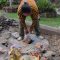 Proses memasukan sampah organik ke teba modern di Kecamatan Denpasar Barat. Foto: dok/Pemkot Denpasar