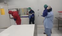 Aktivitas bongkar muat dan pengecekan mutu ikan ekspor di fasilitas cold storage, memastikan produk perikanan Indonesia tetap segar, aman, dan siap meluncur ke pasar internasional, jelang lonjakan permintaan global. foto : KKP