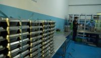 Aktivitas Program Makan Bergizi Gratis (MBG) saat proses penyiapan dan distribusi makanan kepada para penerima manfaat. BGN menegaskan standar higienitas dan tata kelola dapur harus dipatuhi ketat demi menjamin keamanan pangan dan kesehatan anak-anak. Sumber: Doc. Biro Hukum dan Humas BGN
