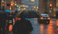Siaga musim hujan! Selain ISPA, tipes, leptospirosis, dan DBD jadi ancaman yang gampang menyerang saat cuaca lembap dan banjir datang. Foto ilustrasi: unsplash.com
