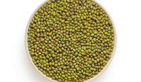 Kacang hijau sebagai pangan lokal bergizi kaya protein nabati dinilai berpotensi membantu pemenuhan gizi anak dan pencegahan stunting jika dimanfaatkan secara berkelanjutan. Foto: unsplash.com