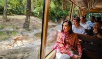 Menpar Widiyanti meninjau Taman Safari Bali menggunakan kendaraan wisata