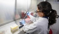Ilmuwan di Institut Malbran Buenos Aires menangani sampel untuk diagnosis virus Andes hantavirus di tengah penyelidikan wabah MV Hondius.