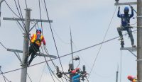 Petugas PLN melakukan perbaikan jaringan listrik untuk mengatasi pemadaman listrik bergilir dan menjaga keandalan pasokan listrik di Indonesia.