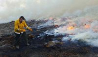 Kebakaran Hutan Eropa – Seorang petugas pemadam kebakaran berupaya memadamkan kobaran api dalam kebakaran hutan besar yang melanda kawasan Cairngorms sebagai bagian dari krisis kebakaran yang meluas di Eropa.