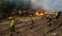 Kebakaran Hutan di Prancis dan Spanyol membuat petugas pemadam kebakaran berjibaku memadamkan kobaran api di El Tiemblo, dekat Madrid, Spanyol.