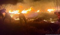 Petugas berupaya memadamkan kebakaran Gunung Bromo di tengah angin kencang dan medan terjal
