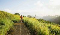 Pelari melakukan slow jogging di jalur terbuka sebagai olahraga ringan untuk menjaga kesehatan jantung dan mental.