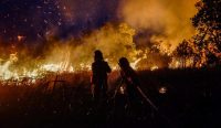 Siluet petugas pemadam kebakaran Manggala Agni tengah berjibaku memadamkan kobaran api pada kebakaran lahan di Ogan Ilir, Sumatera Selatan.