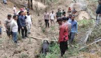 Penemuan tapir Mesuji yang terperosok di dalam parit area perkebunan kelapa sawit sedang dievakuasi oleh aparat kepolisian dan warga menggunakan tali dan kayu pelintang. (Foto: Dok. Polres Mesuji)