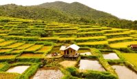 Desa Wisata Golo Loni di Kabupaten Manggarai Timur, NTT yang masuk 15 besar terbaik. (Foto: Ist)