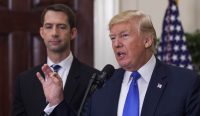 Presiden AS Donald Trump sedang berbicara di depan mikrofon didampingi oleh Senator Tom Cotton yang berdiri di belakangnya di Washington DC pada tahun 2017. Hubungan keduanya kini menjadi sorotan setelah Trump nekat menyebarkan nomor telepon senator tersebut ke publik. Foto: REX/Shutterstock.