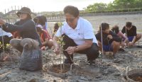 Ketua IWO Bali Tri Widiyanti bersama Wakil Gubernur Bali I Nyoman Giri Prasta menanam mangrove, Jumat (23/10/2026). Foto: dok/diksimerdeka.com