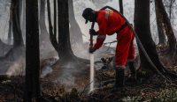 Petugas menyemprotkan air ke sisa pembakaran lahan hutan yang berasap di Kalimantan. Praktik tebang-bakar ini memicu tragedi asap karhutla mematikan. Foto: Mast Irham/EPA.