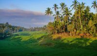Pemandangan terasering sawah hijau dan deretan pohon kelapa di Jalan Raya Pupuan, Tabanan, Bali. Menjelang turunnya hujan ringan menurut prakiraan cuaca Bali 28 Oktober dari BMKG Bali. Foto: Eyestetix Studio/Unsplash.